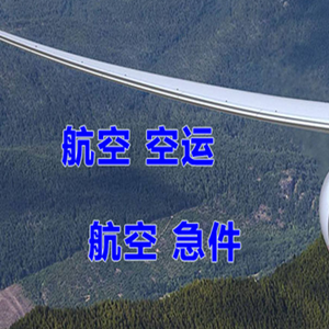 莎车叶尔羌航空邮寄快递-选东方航空和上海航空