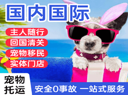 莎车叶尔羌航空邮寄国际宠物托运 【国